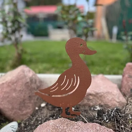 Majoros Garden *